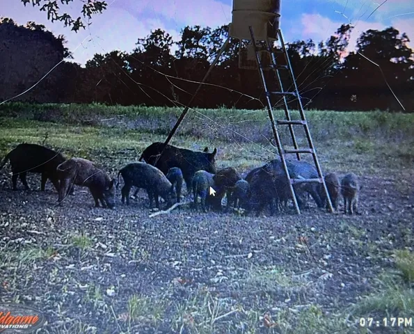 $4,550,000 | 155 Centerville Tx 75833, Centerville, TX 75833