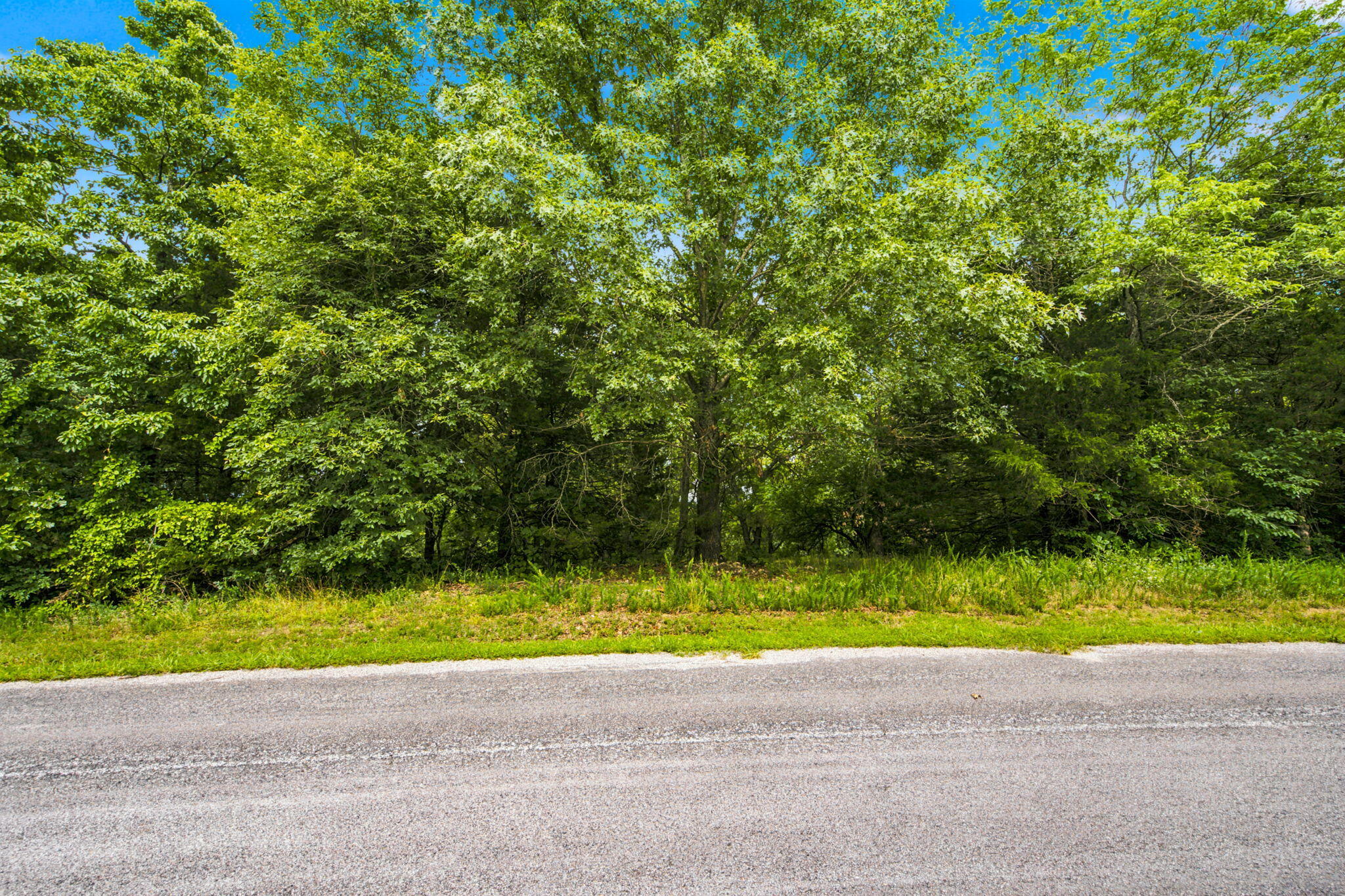 Lot 12 Kingsgate Road Lampe, MO 65681 - Photo 25 of 33 2-web-or-mls-DSC05789