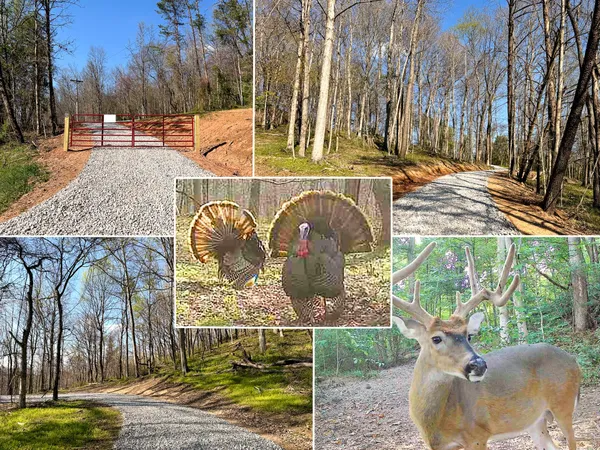 $59,900 | 0 Little Kyger Road, Unit LITTLE KYGER TRACT 6), Cheshire, OH 45620