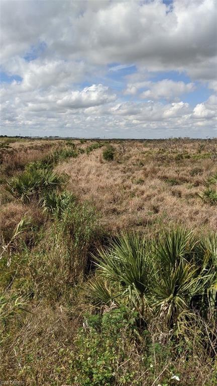 Xx Sears Road LaBelle, FL 33935 - Photo 4 of 4