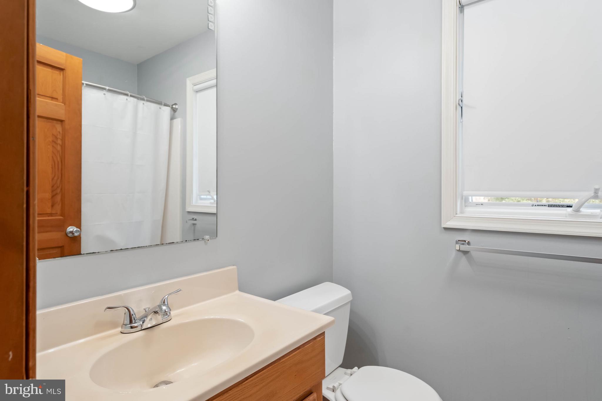 18885 Sand Hill Road Milton, DE 19968 - Photo 20 of 46 a bathroom with a sink mirror and toilet