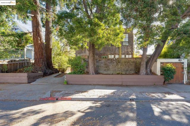 a view of backyard with large tree and wooden fence