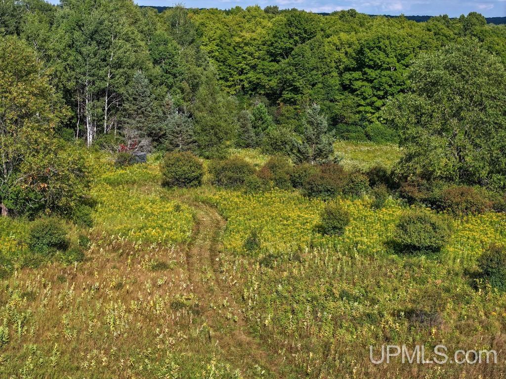 576 Bates-Gaastra Road Iron River, MI 49935 - Photo 56 of 68 Gallery Image 56
