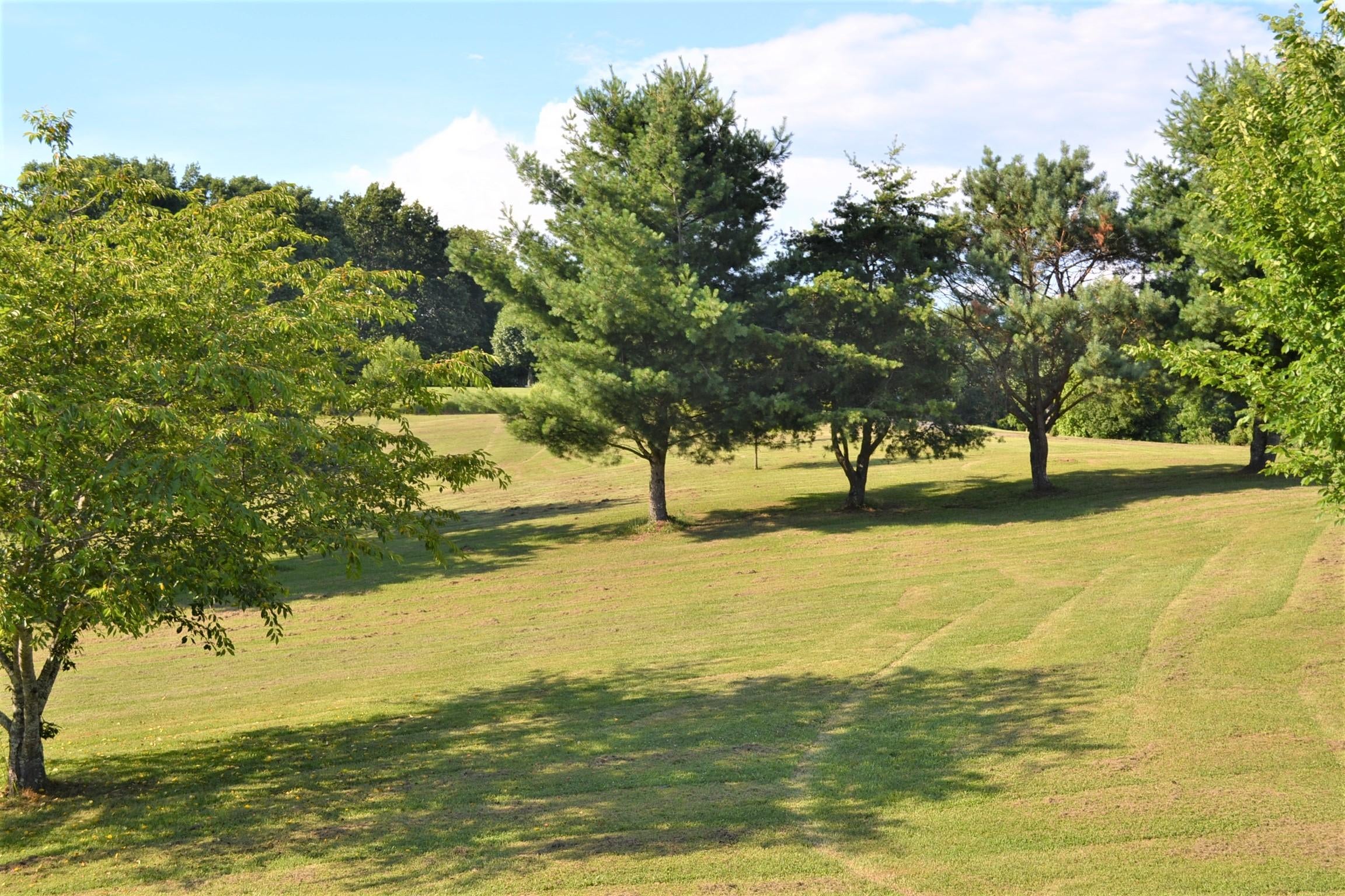 372 Charles Masters Road Ronceverte, WV 24970 - Photo 8 of 50 Gallery Image 8