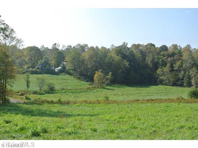 1306 Raymond Jessup Road Mount Airy, NC 27030 - Photo 13 of 16 Land. EVERYTHING IN PHOTO IS AVAVIABLE