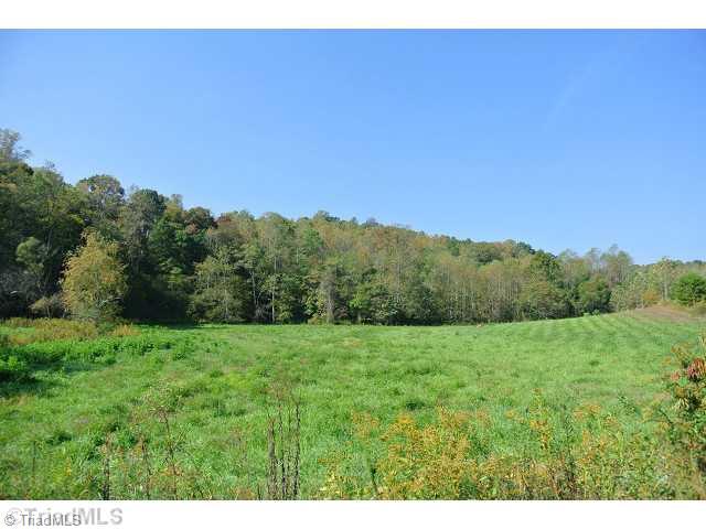 1306 Raymond Jessup Road Mount Airy, NC 27030 - Photo 16 of 16 Land. RICH BOTTOM LAND