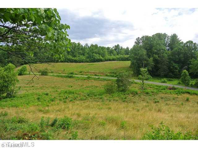 1306 Raymond Jessup Road Mount Airy, NC 27030 - Photo 4 of 16 Land. BOTTOM LAND AND ACROSS RD UPGROUND LARGE CREEK INBETWEEN