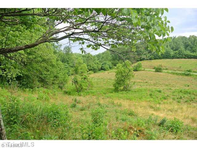 1306 Raymond Jessup Road Mount Airy, NC 27030 - Photo 5 of 16 Land. LOTS OF FILEDS