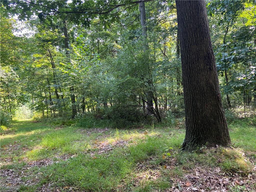 249 McVille Road Freeport, PA 16229 - Photo 22 of 24 a view of backyard with green space