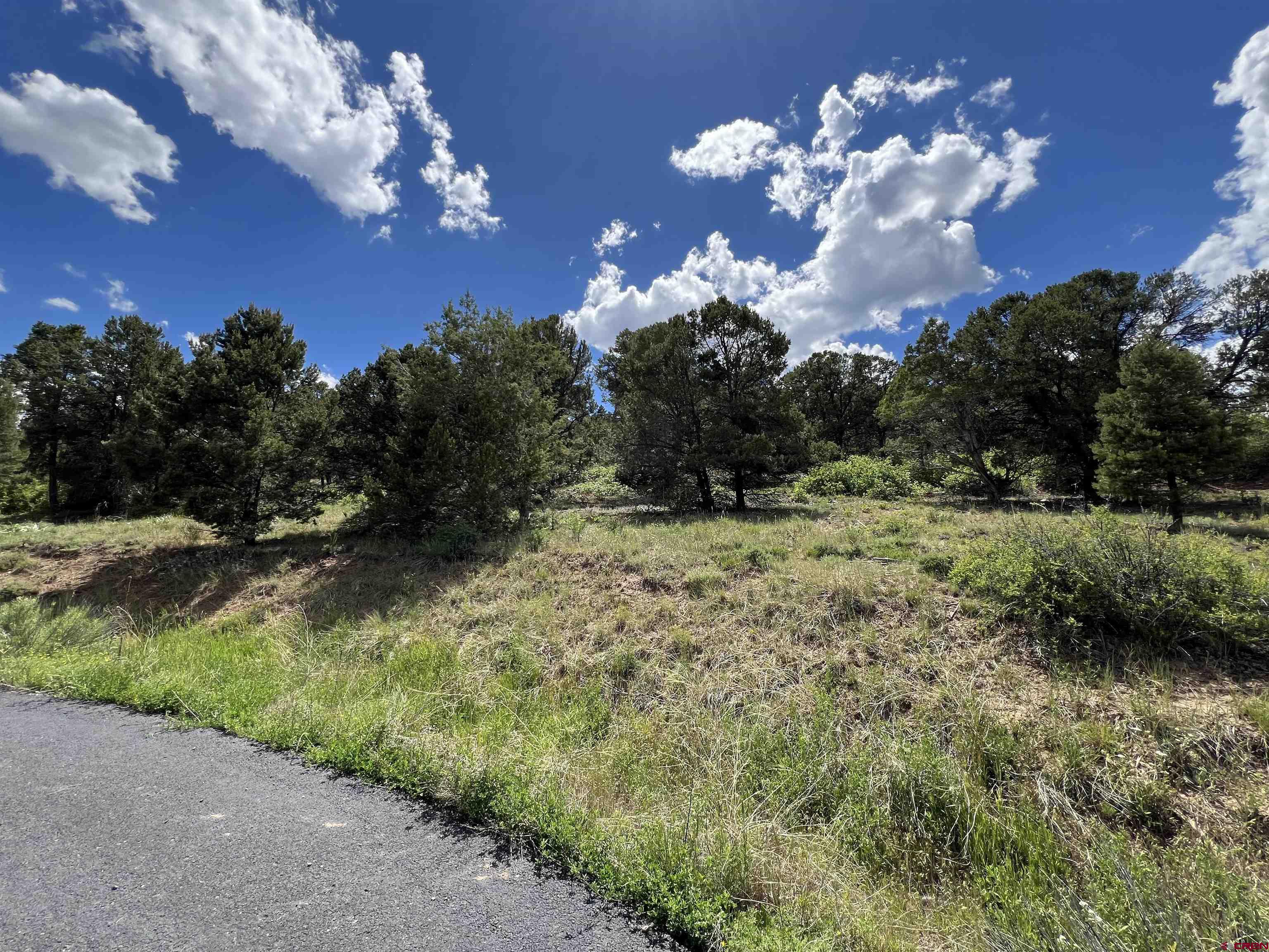 Lot 9 Pointe Escape Drive Ridgway, CO 81432 - Photo 8 of 33