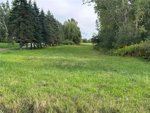 $145,000 | Vl Swift Mills Road South, Akron, NY 14001