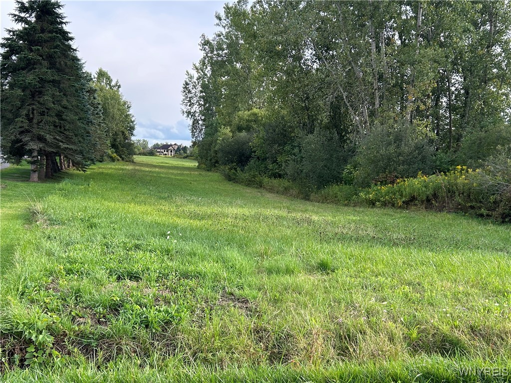 Vl Swift Mills Road South Akron, NY 14001 - Photo 5 of 10