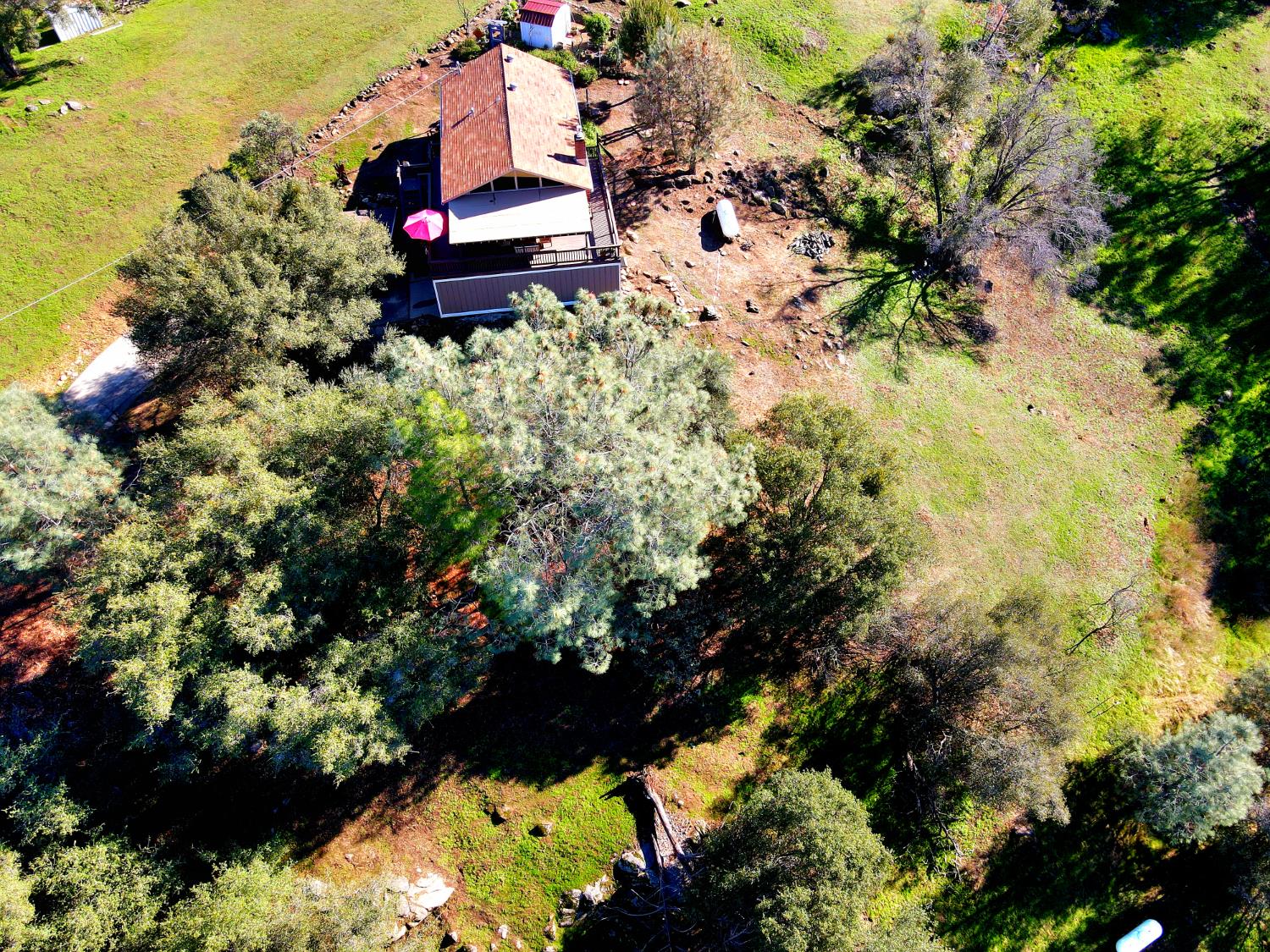 43629 Ranger Cir Drive Coarsegold, CA 93614 - Photo 52 of 53
