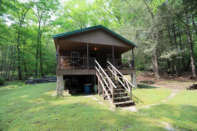 a view of a house with a yard potted plants and a large tree