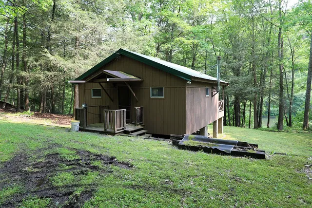 a backyard of a house with barbeque oven and trees