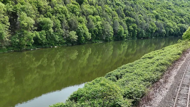 a view of a lake with a big yard and large trees