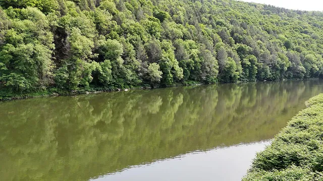 a view of a lake with houses