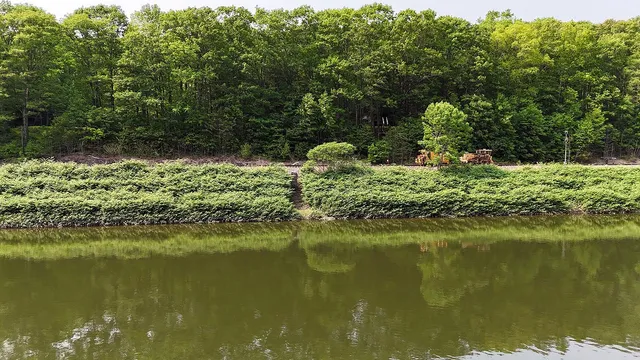 a view of a garden with a lake view