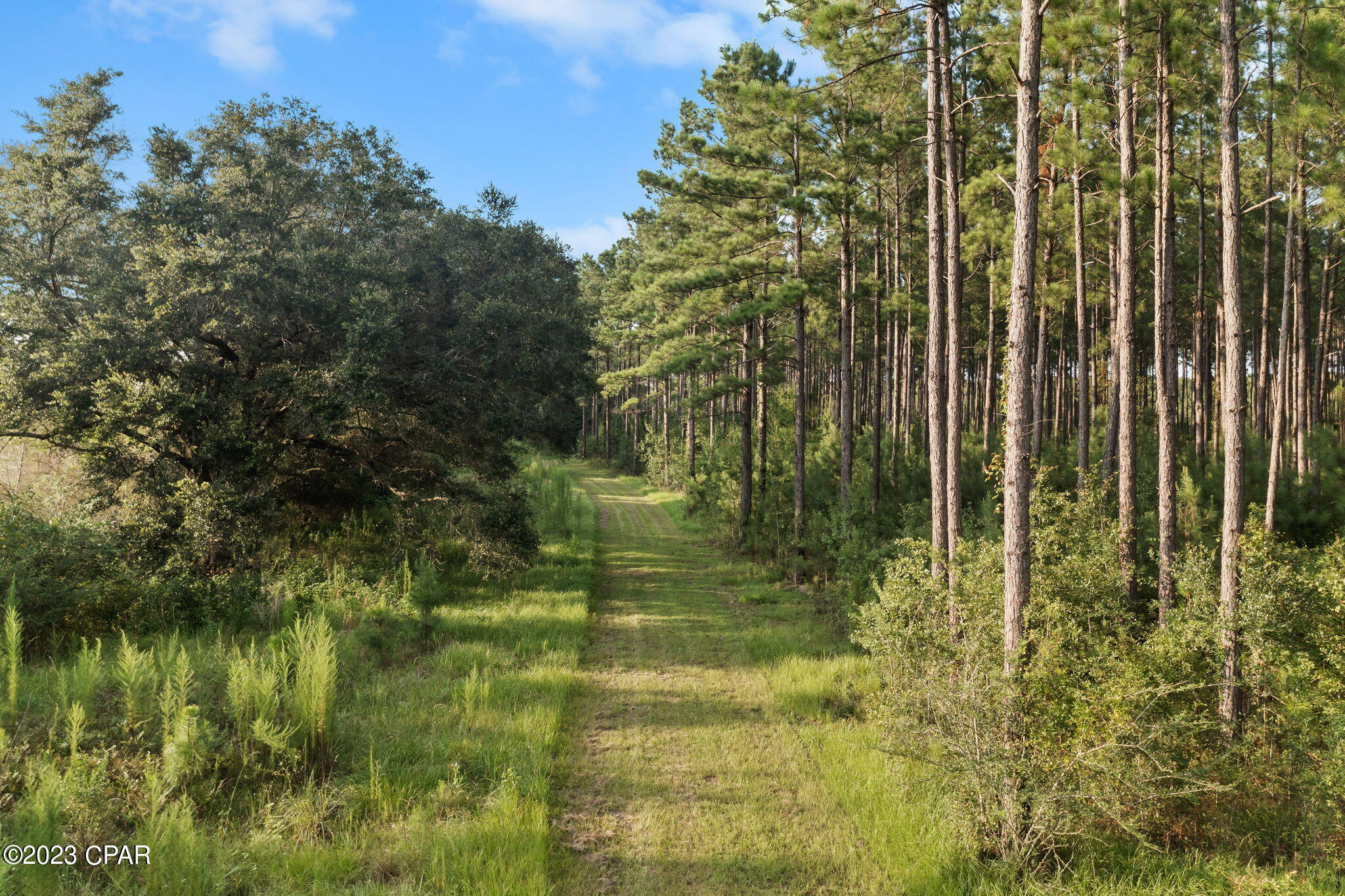 366 Odom Road Chipley, FL 32428 - Photo 43 of 53