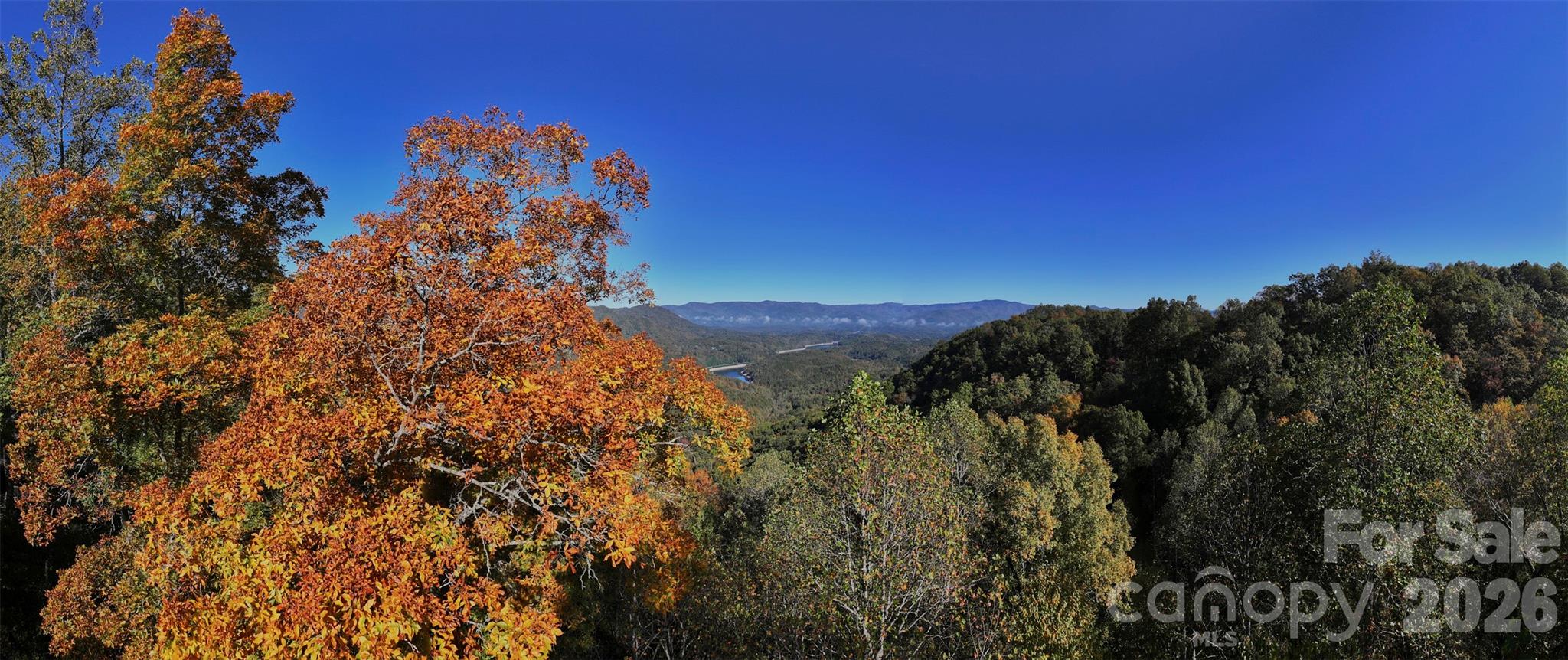 0 Glory Mountain Road Bryson City, NC 28713 - Photo 2 of 9