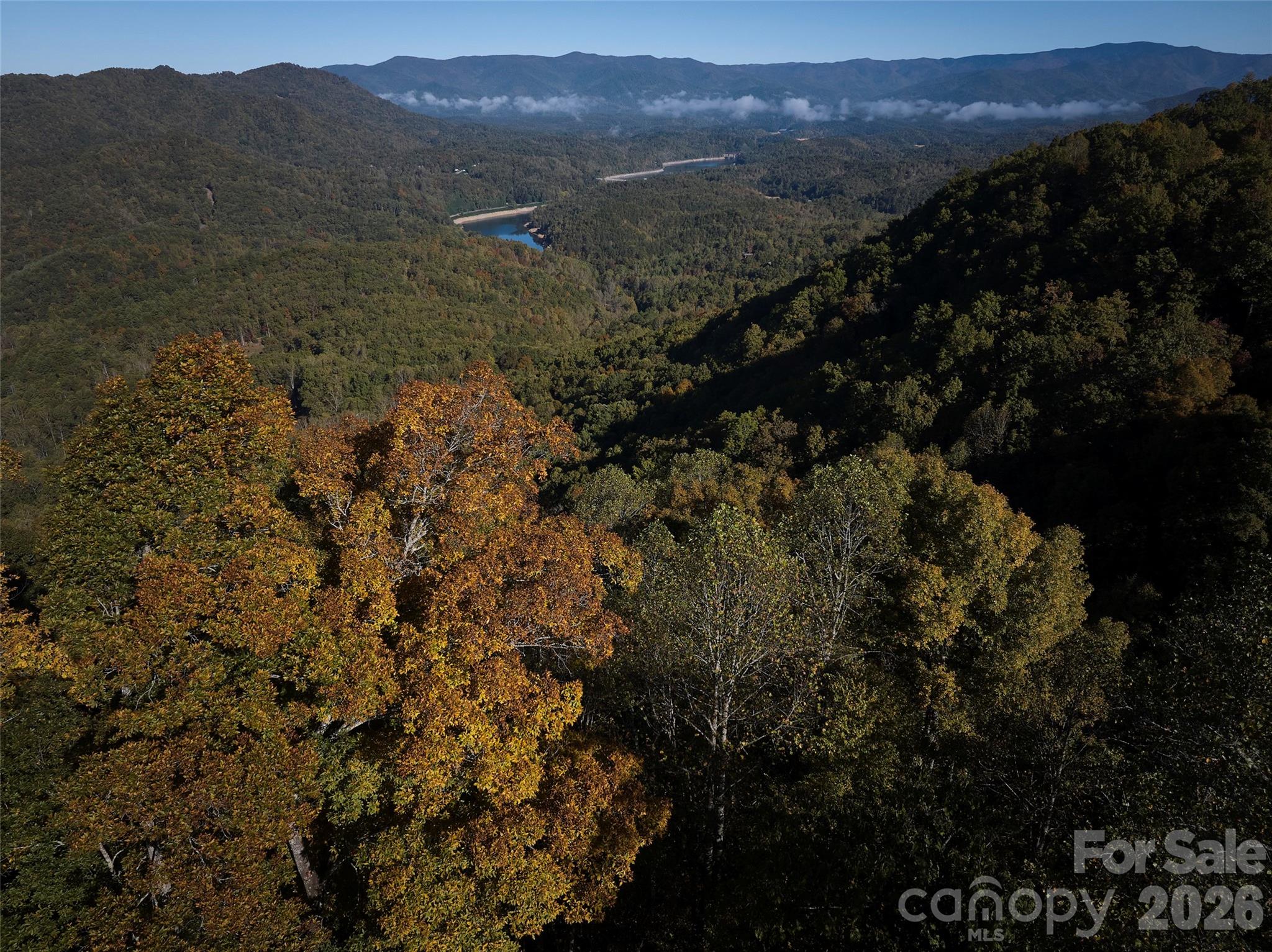 0 Glory Mountain Road Bryson City, NC 28713 - Photo 3 of 9