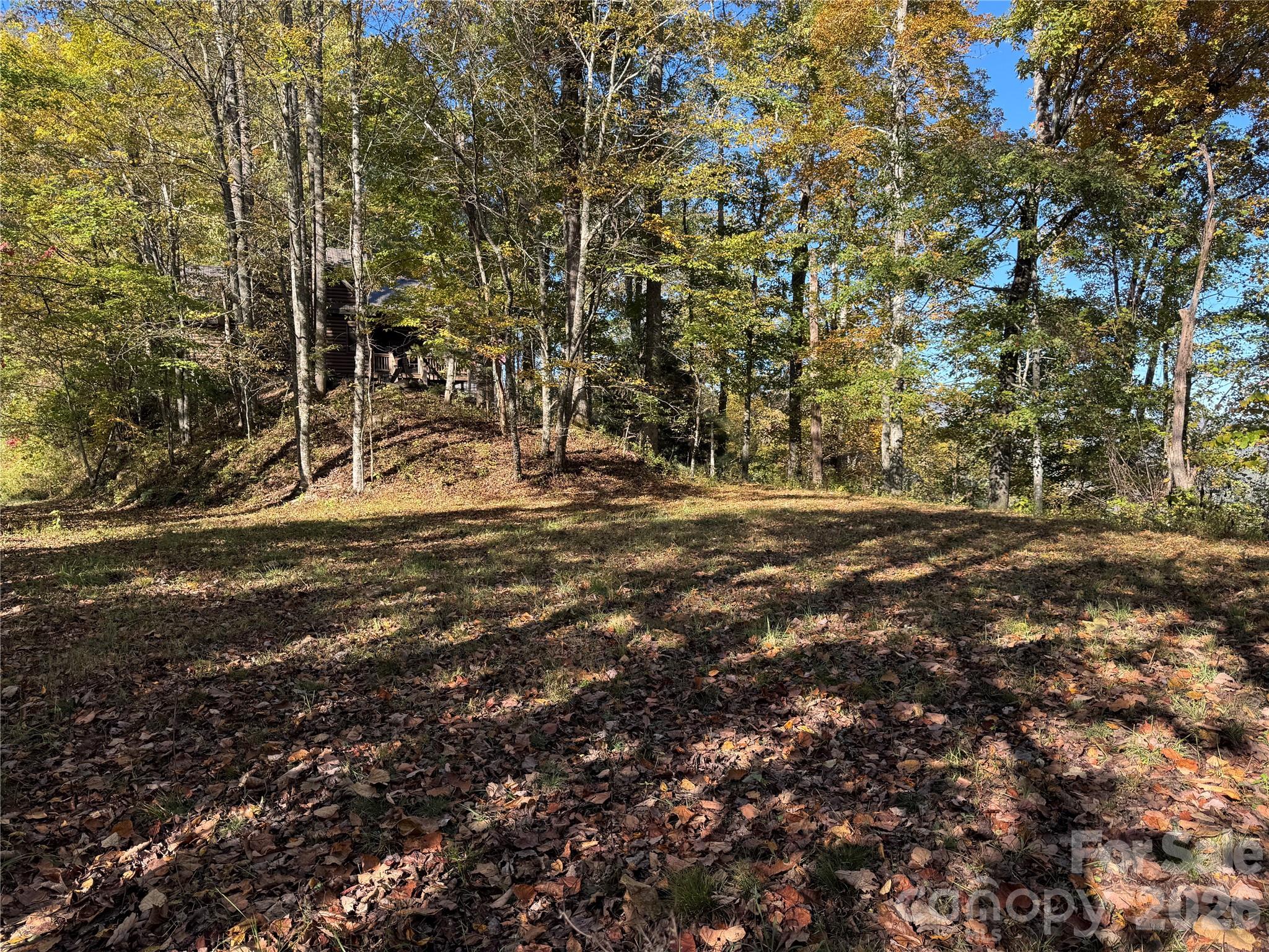 0 Glory Mountain Road Bryson City, NC 28713 - Photo 5 of 9