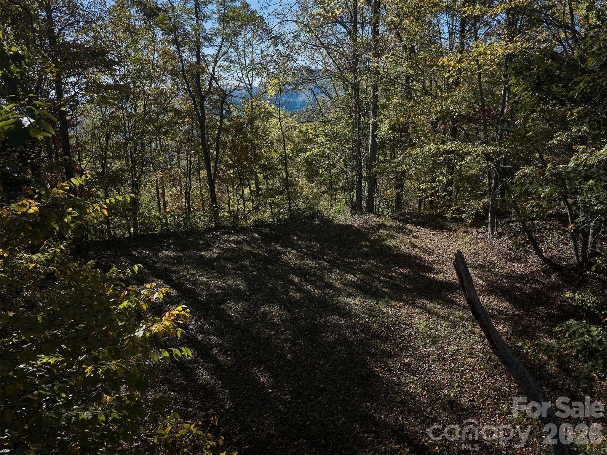 0 Glory Mountain Road Bryson City, NC 28713 - Photo 6 of 9