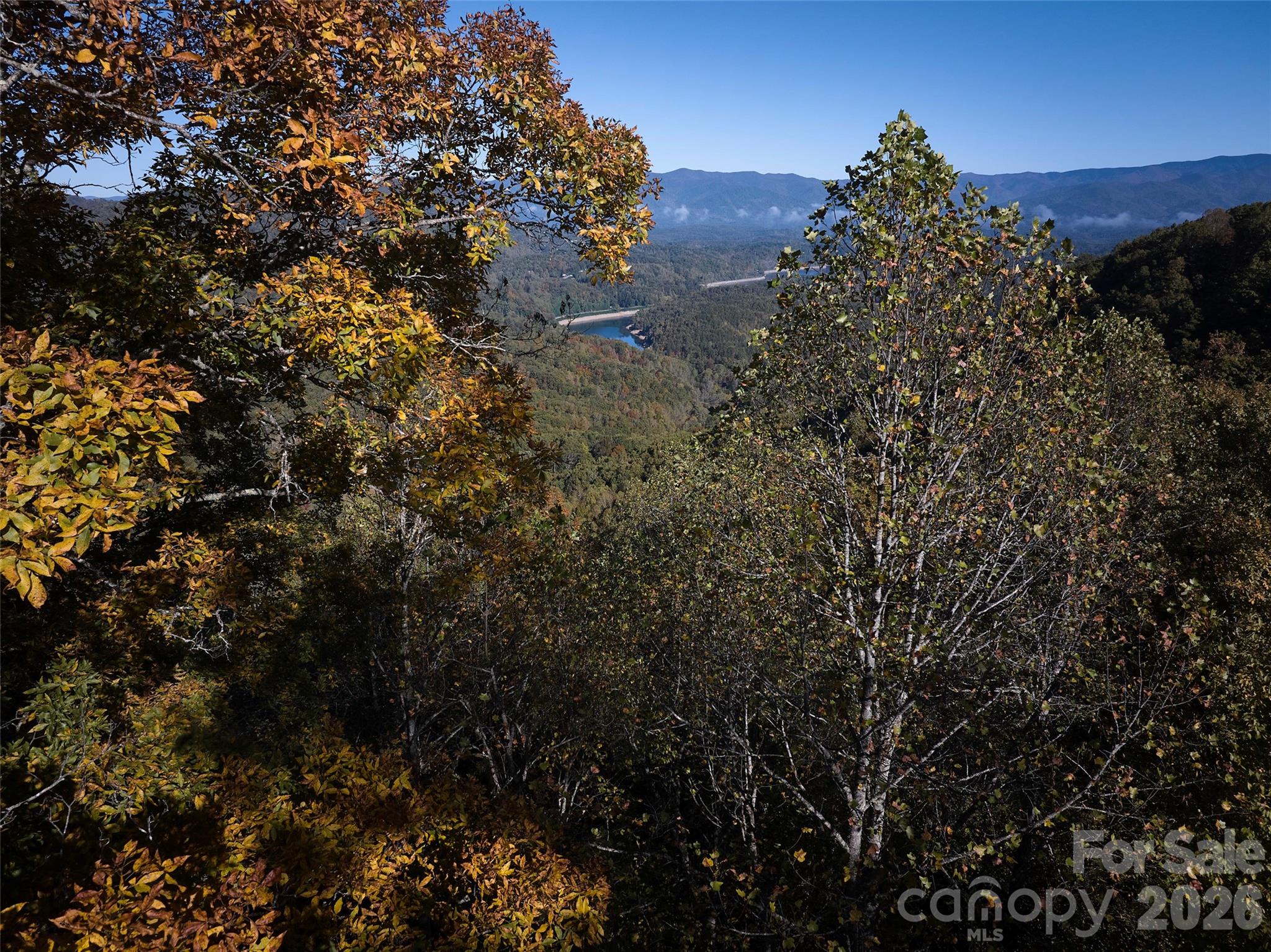 0 Glory Mountain Road Bryson City, NC 28713 - Photo 7 of 9