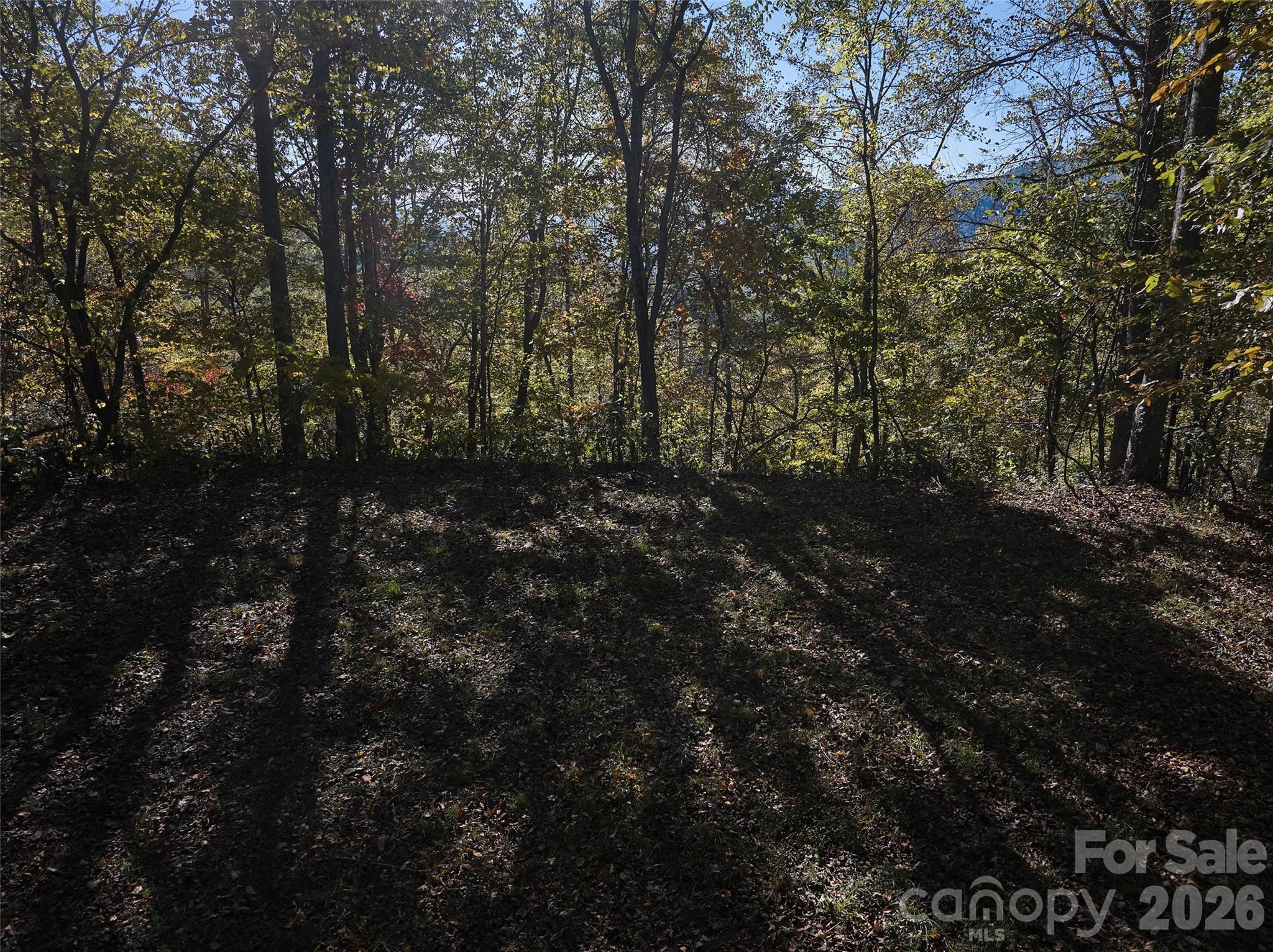 0 Glory Mountain Road Bryson City, NC 28713 - Photo 8 of 9
