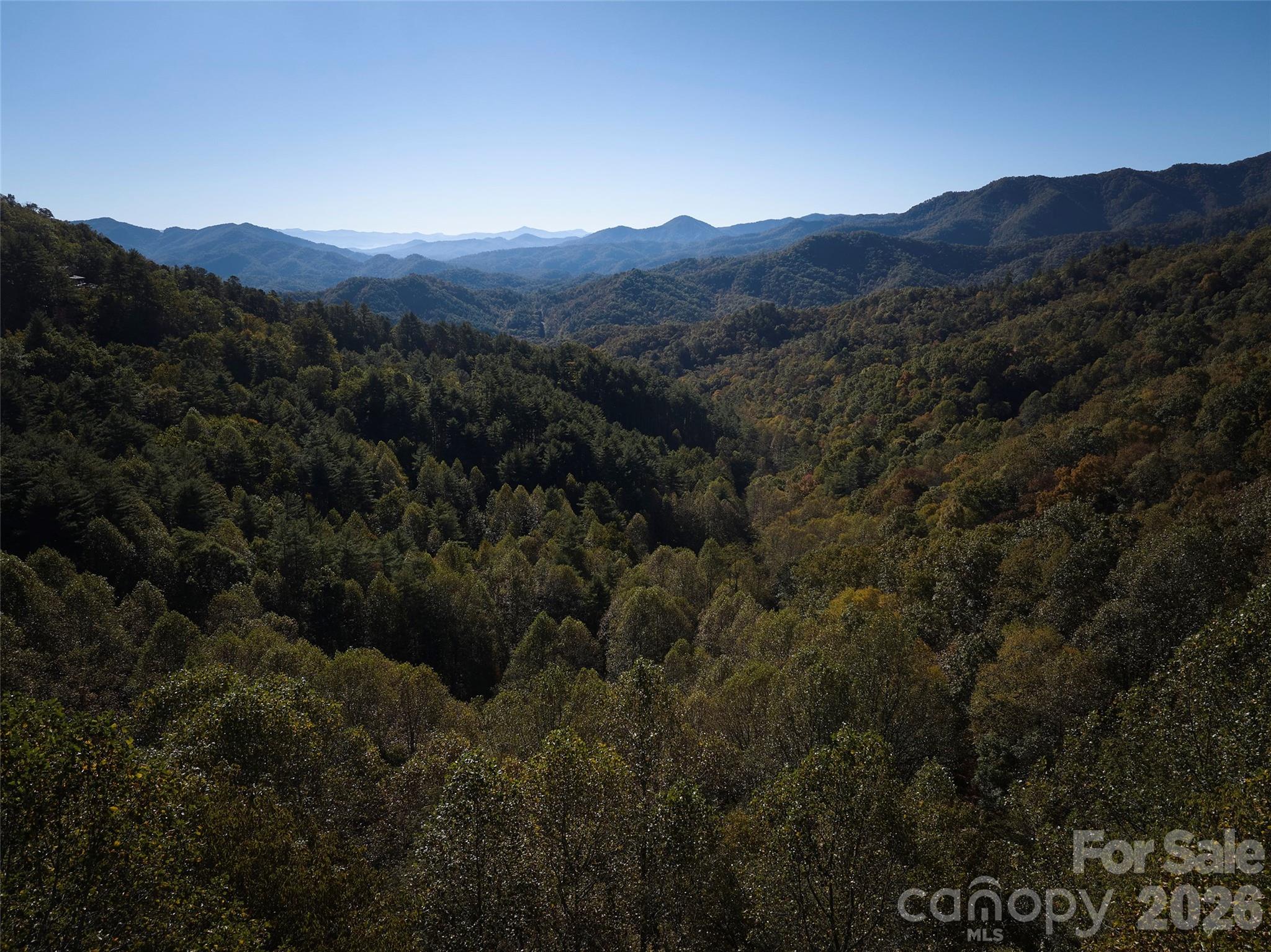 0 Glory Mountain Road Bryson City, NC 28713 - Photo 9 of 9
