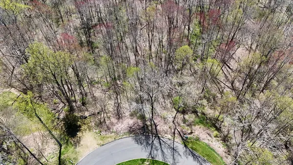 a view of a garden with a building in the background
