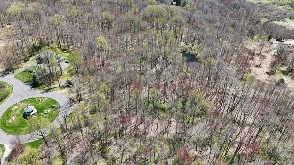 a close up of a plant in a garden