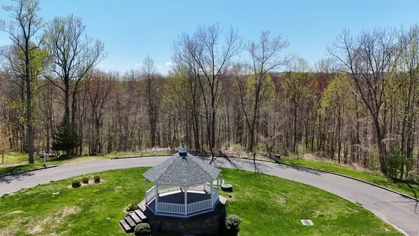 a garden view with a fountain