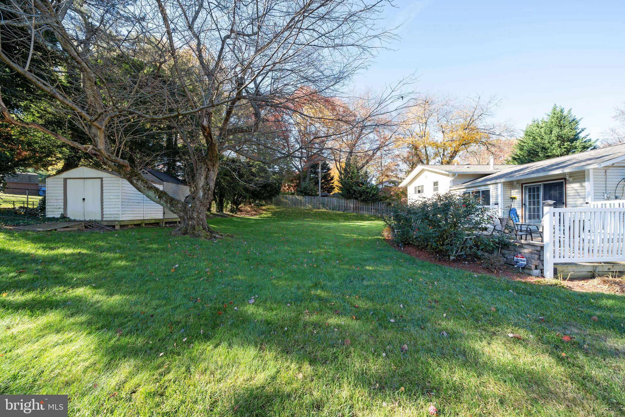 1503 Ainsley Road Silver Spring, MD 20904 - Photo 34 of 35 Back Yard View w/ Shed