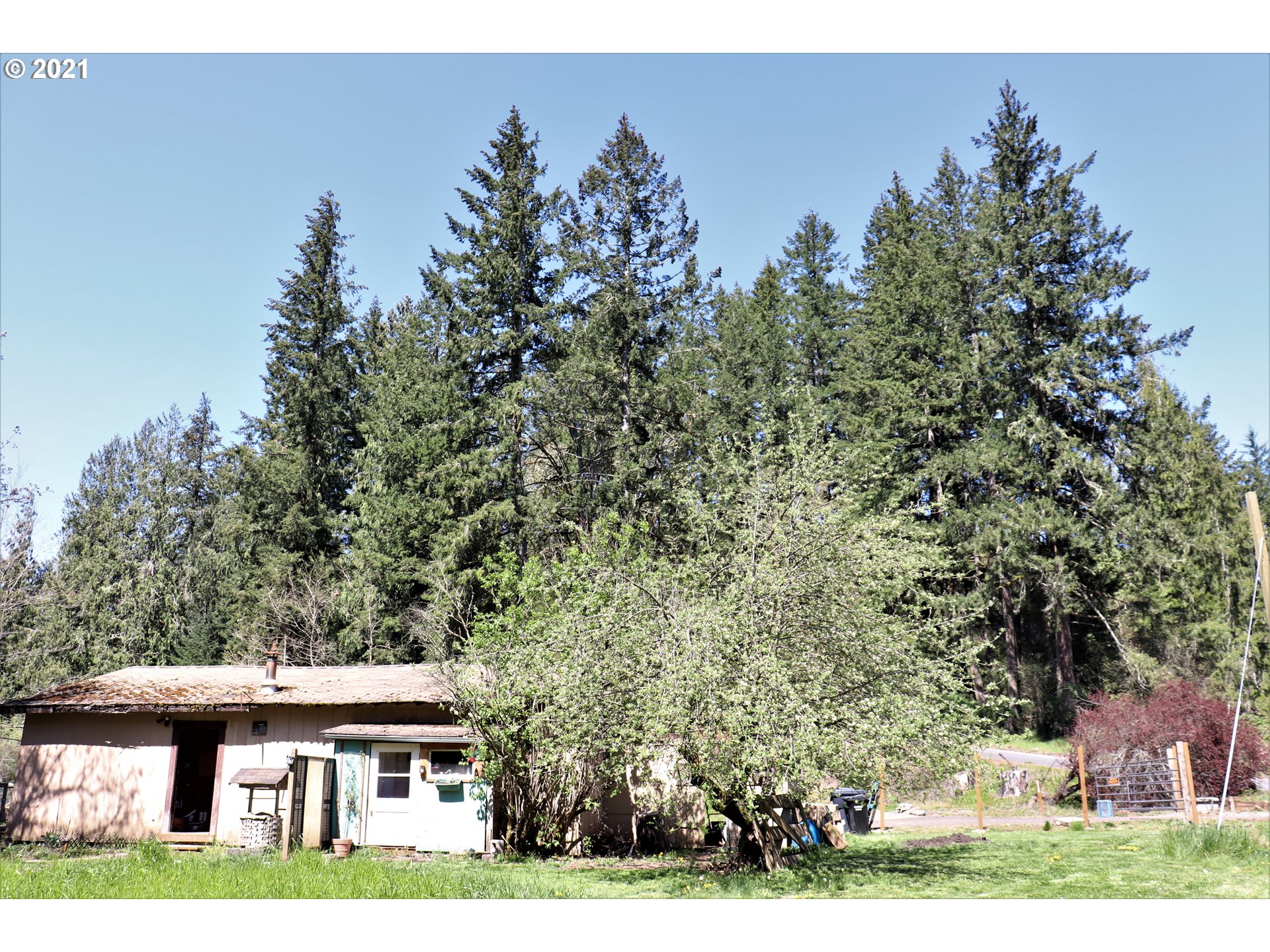 36004 South Kuban Road Molalla, OR 97038 - Photo 8 of 18