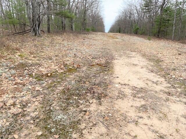 Pipeline Road Indian River, MI 49749 - Photo 4 of 5 Gallery Image 4