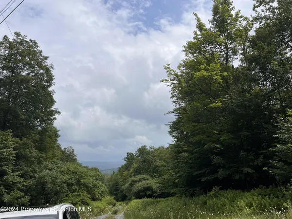 a view of a bunch of trees in a field
