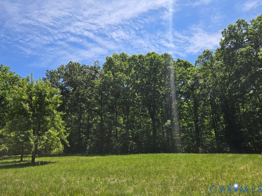 6 Mahan Road Farmville, VA 23901 - Photo 29 of 30 a view of a field of grass and trees