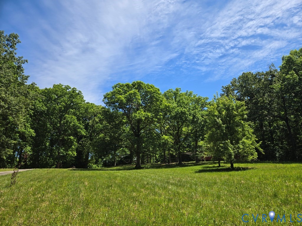 6 Mahan Road Farmville, VA 23901 - Photo 3 of 30 a view of a green yard