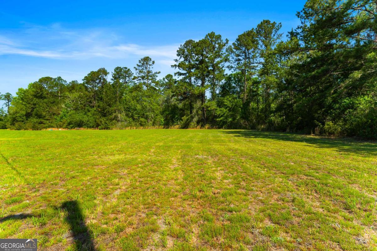 3383 Mill Branch Club Road Pembroke, GA 31321 - Photo 29 of 32