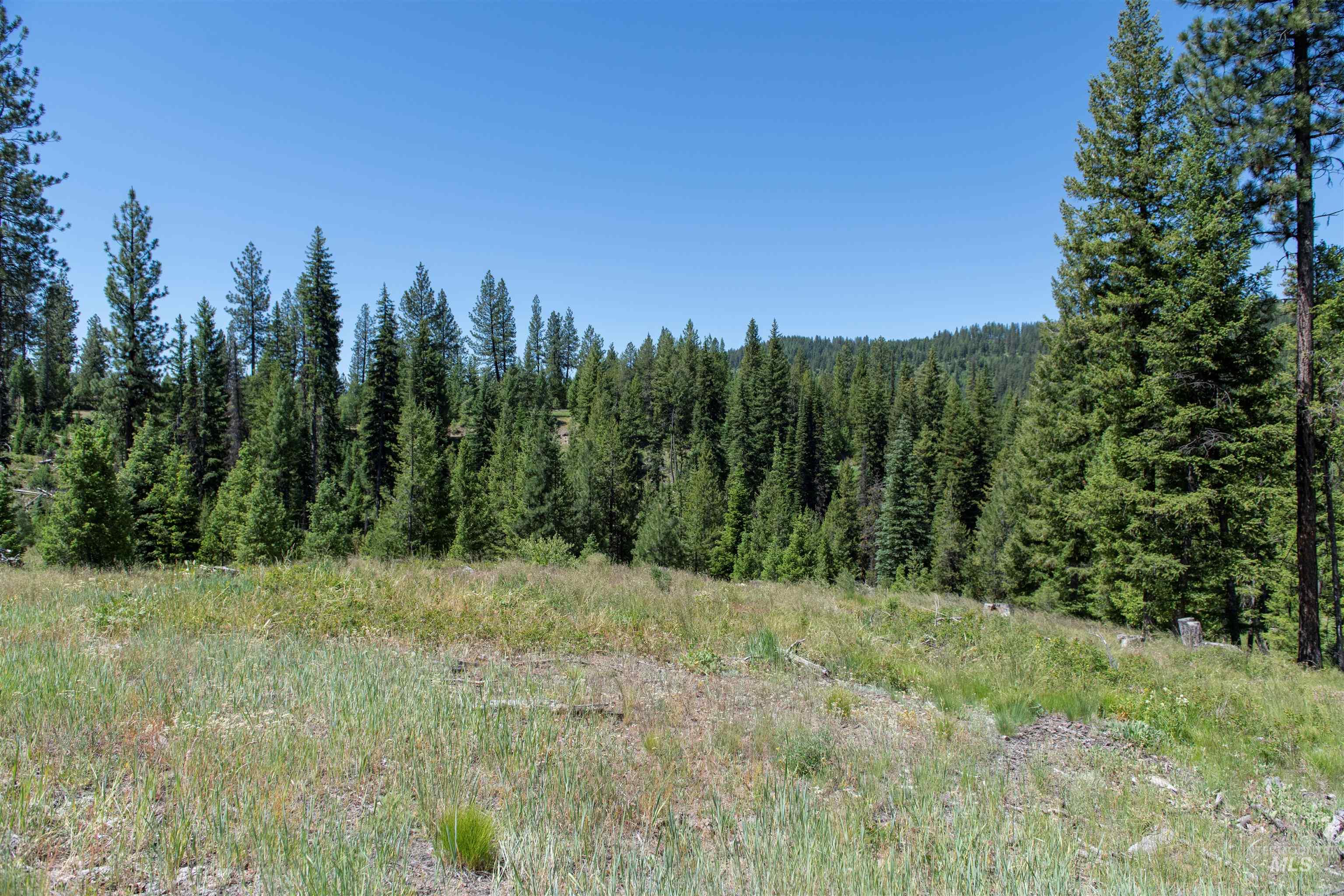 33 Clear Creek Road Cascade, ID 83611 - Photo 9 of 10