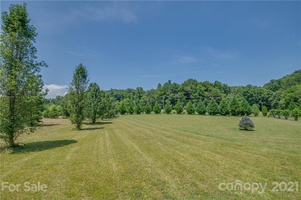 613 River Crest Parkway Rutherfordton, NC 28139 - Photo 12 of 47 Gallery Image 12