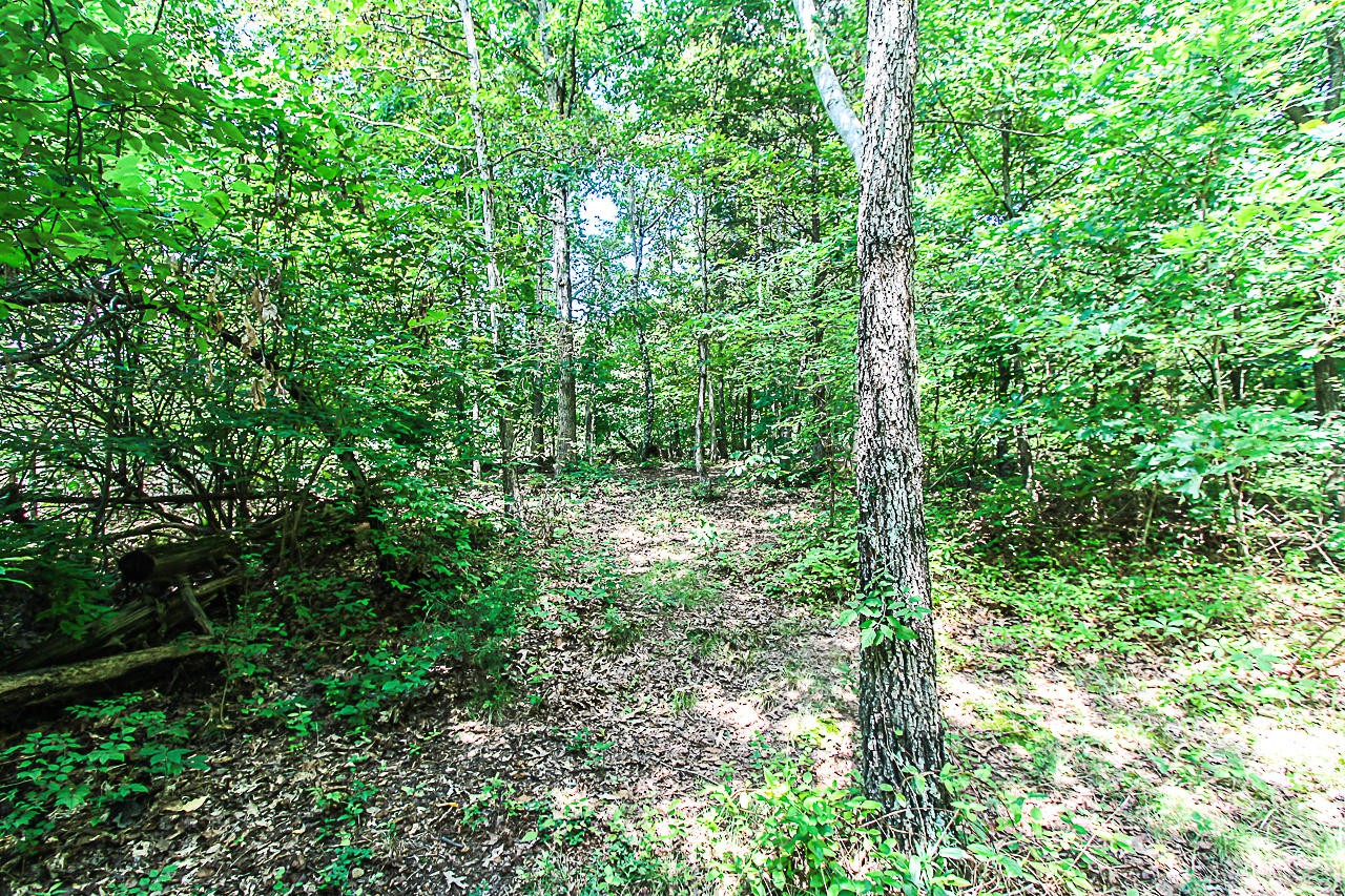 8117 Boss Road Knoxville, TN 37931 - Photo 13 of 23 Gallery Image 13