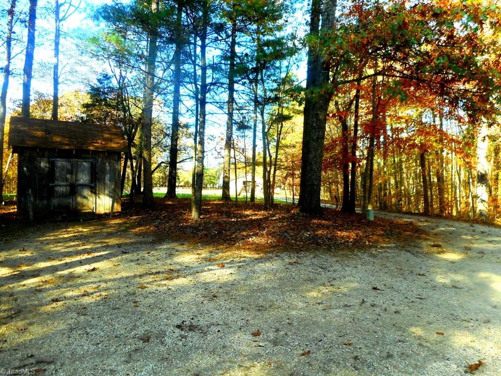 8541 Linville Road Oak Ridge, NC 27310 - Photo 24 of 29 Storage building view towards the open field