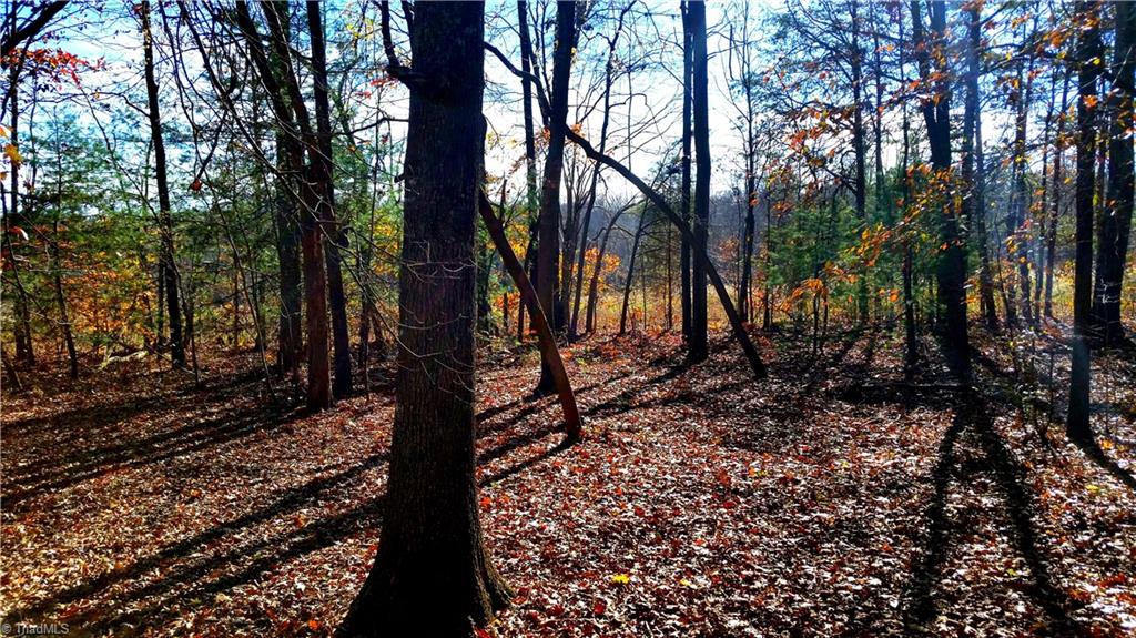 8541 Linville Road Oak Ridge, NC 27310 - Photo 26 of 29