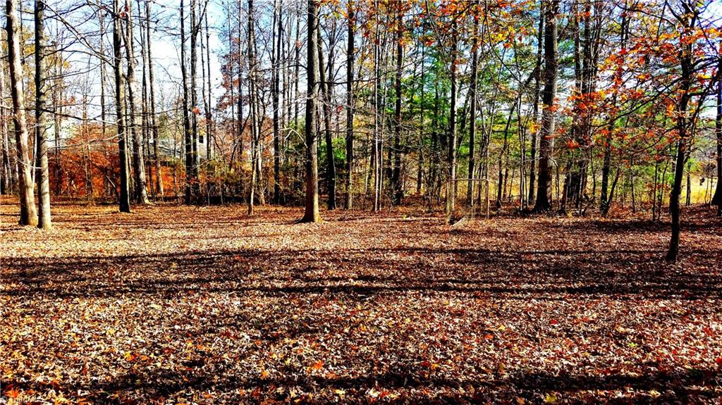 8541 Linville Road Oak Ridge, NC 27310 - Photo 27 of 29