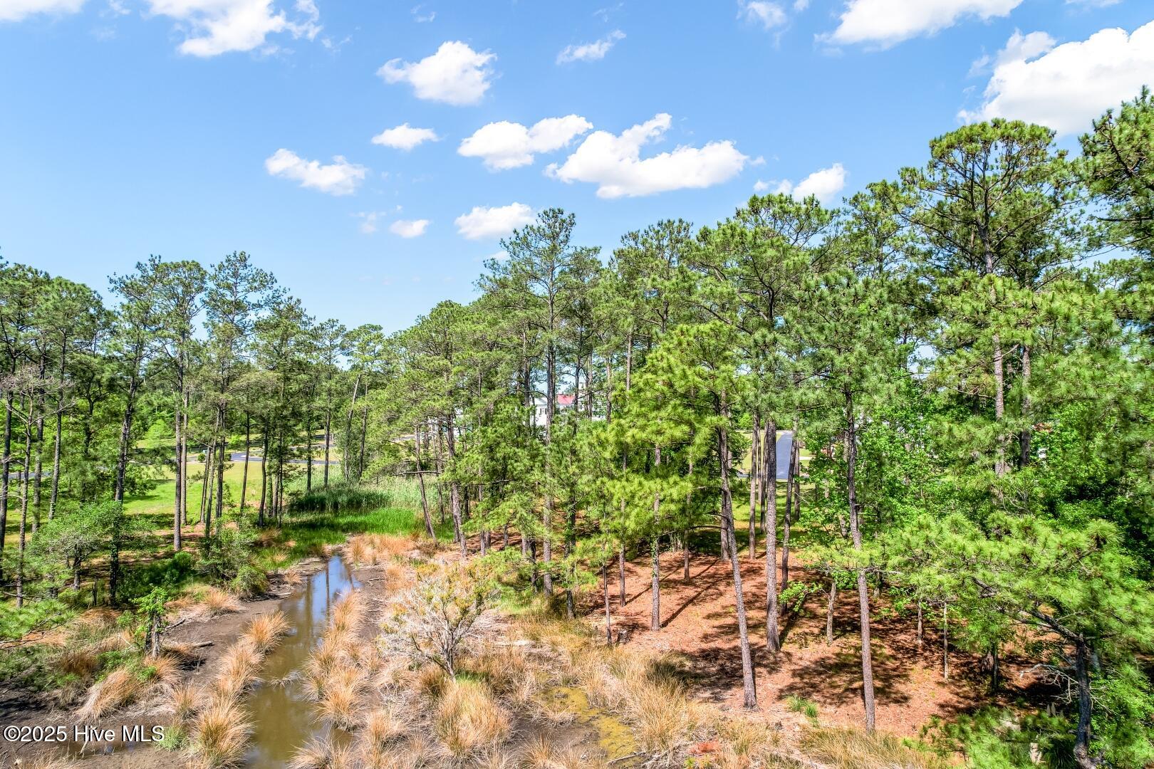 72 Oyster Point Road Oriental, NC 28571 - Photo 55 of 55 72 Oyster Point Road 38 (10)