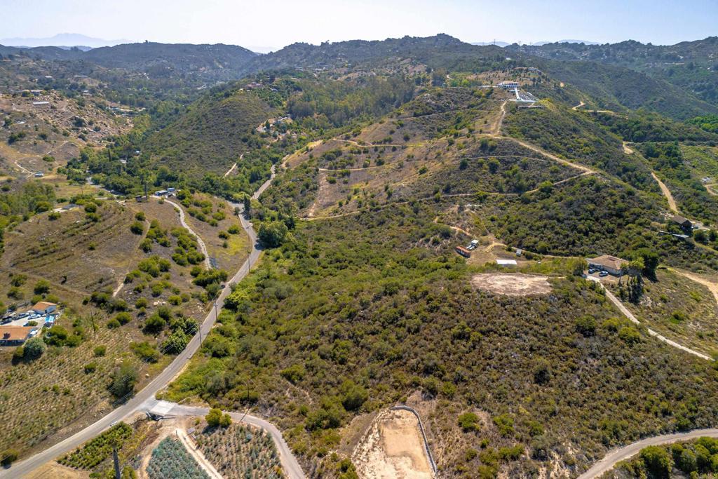 27 Daily Road Fallbrook, CA 92028 - Photo 11 of 34 a view of a forest with a mountain