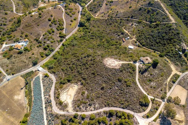 an aerial view of a house with a yard and large trees