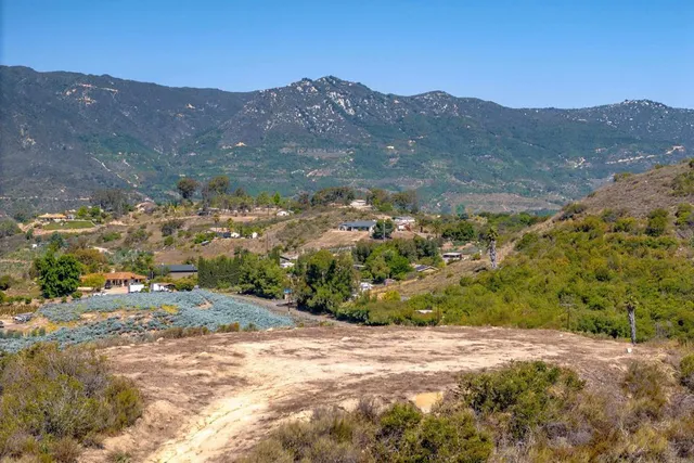 a view of a dry yard